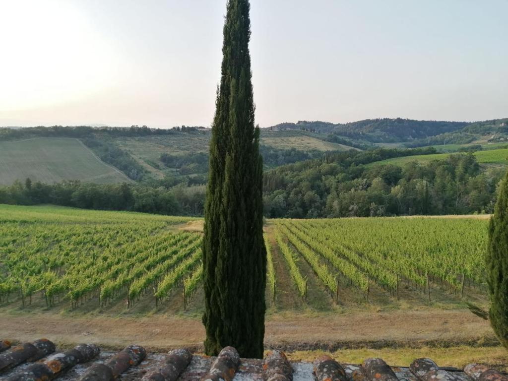 Villa Niccoli Castelfiorentino Exterior photo